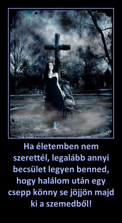 Ha életemben nem szerettél, legalább annyi becsület legyen benned, hogy halálom után egy csepp könny se jöjjön majd ki a szemedből! Ha életemben nem szerettél, legalább annyi becsület legyen benned, hogy halálom után egy csepp könny se jöjjön majd ki a szemedből!