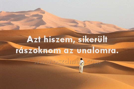 Azt hiszem
 
Azt hiszem, sikerült rászoknom az unalomra.
