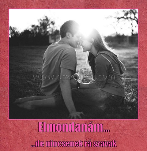 Elmondanám...
 
...de nincsenek rá szavak