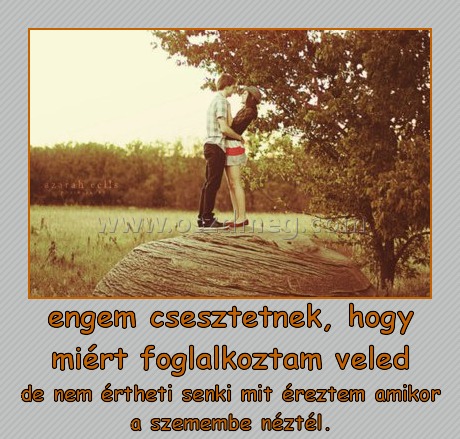engem csesztetnek, hogy miért foglalkoztam veled engem csesztetnek, hogy miért foglalkoztam veled
de nem értheti senki mit éreztem amikor a szemembe néztél.