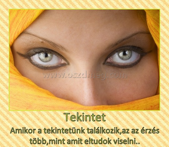 Tekintet
 
Amikor a tekintetünk találkozik,az az érzés több,mint amit eltudok viselni..