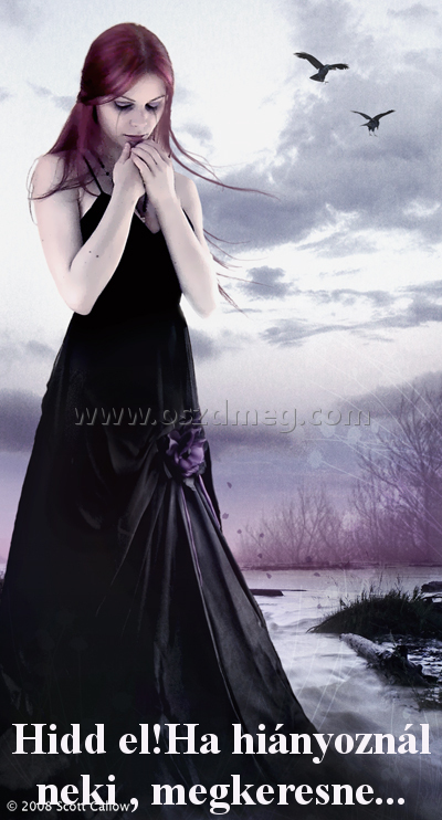 Hidd el!Ha hiányoznál neki 
 
Hidd el!Ha hiányoznál neki , megkeresne...