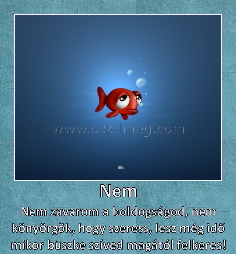 Nem
 
Nem zavarom a boldogságod, nem könyörgök, hogy szeress, lesz még idő mikor büszke szíved magától felkeres!
