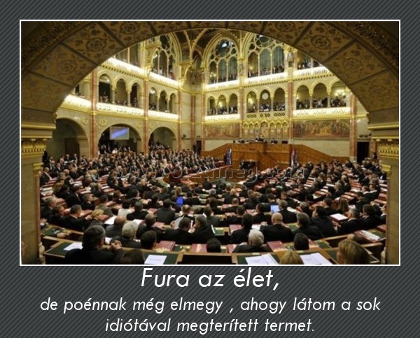 Fura az élet, Fura az élet,
de poénnak még elmegy , ahogy látom a sok idiótával megterített termet.