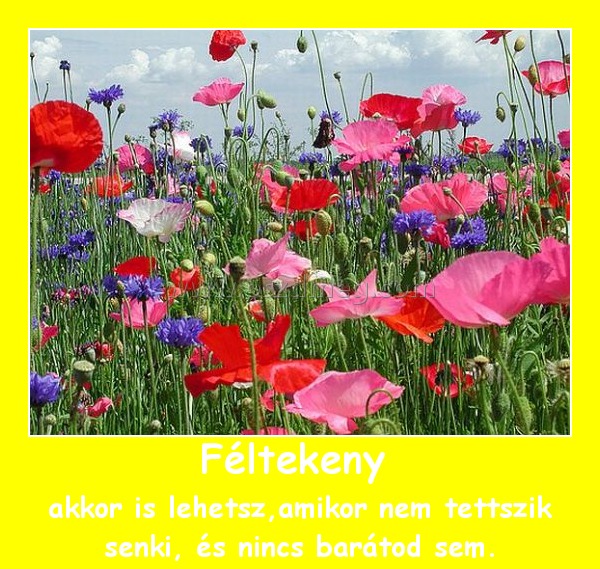 Féltekeny 
 
akkor is lehetsz,amikor nem tettszik senki, és nincs barátod sem.