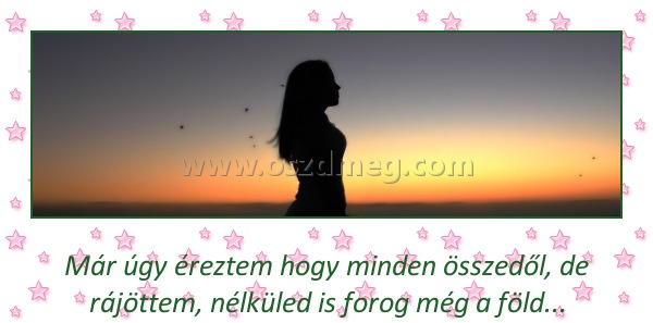 Már úgy éreztem Már úgy éreztem
Már úgy éreztem hogy minden összedől, de rájöttem, nélküled is forog még a föld...