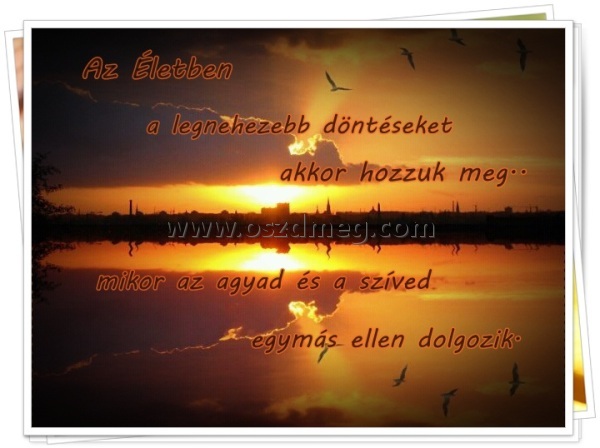 Az életben
 
