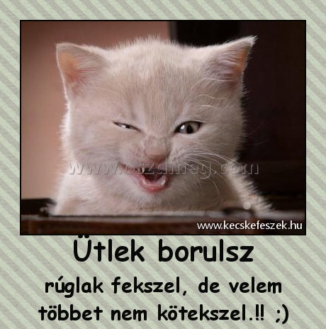 Ütlek borulsz
 
rúglak fekszel, de velem többet nem kötekszel.!! ;)