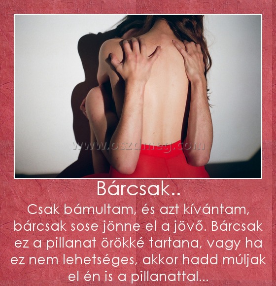 Bárcsak.. Bárcsak..
Csak bámultam, és azt kívántam, bárcsak sose jönne el a jövő. Bárcsak ez a pillanat örökké tartana, vagy ha ez nem lehetséges, akkor hadd múljak el én is a pillanattal...