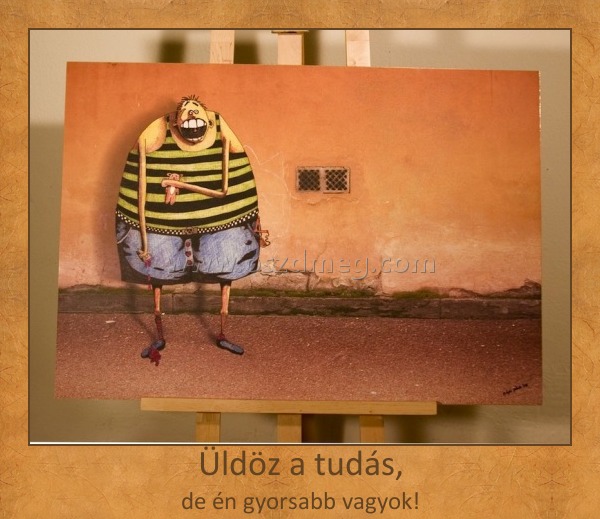 Üldöz a tudás,
 
de én gyorsabb vagyok!