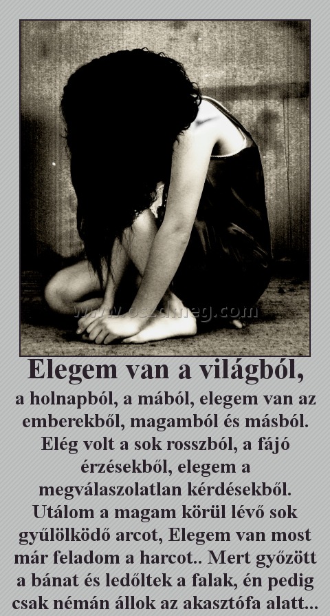 Elegem van a világból, Elegem van a világból,
a holnapból, a mából, elegem van az emberekből, magamból és másból. Elég volt a sok rosszból, a fájó érzésekből, elegem a megválaszolatlan kérdésekből. Utálom a magam körül lévő sok gyűlölködő arcot, Elegem van most már feladom a harcot.. Mert győzött a bánat és ledőltek a falak, én pedig csak némán állok az akasztófa alatt...