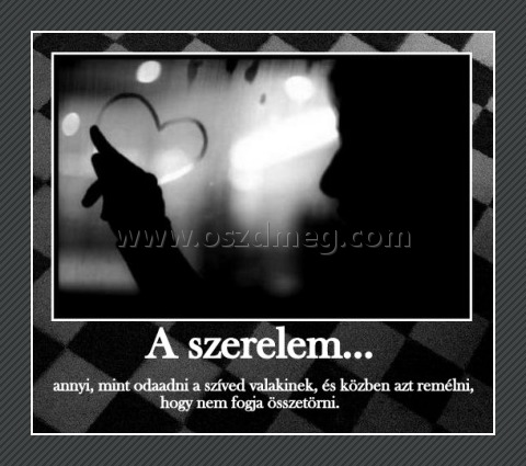 A szerelem
 
