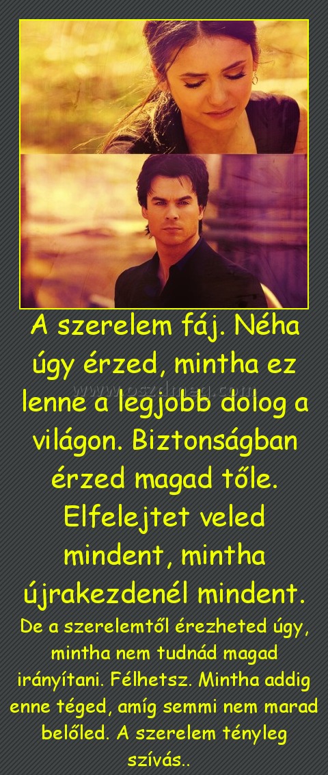 A szerelem fáj. Néha úgy érzed, mintha ez lenne a legjobb dolog a világon. Biztonságban érzed magad tőle. Elfelejtet veled mindent, mintha újrakezdenél mindent.
 
De a szerelemtől érezheted úgy, mintha nem tudnád magad irányítani. Félhetsz. Mintha addig enne téged, amíg semmi nem marad belőled. A szerelem tényleg szívás..  