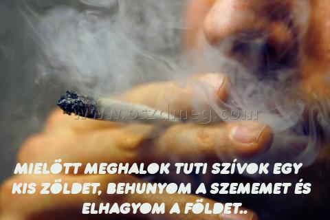 mielött meghalok tuti szívok mielött meghalok tuti szívok
mielött meghalok tuti szívok egy kis zöldet, behunyom a szememet és elhagyom a földet..