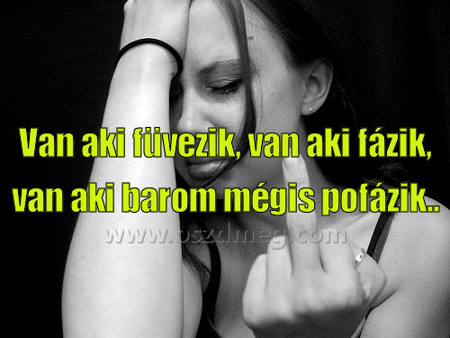 Van aki füvezik
 
Van aki füvezik, van aki fázik, van aki barom mégis pofázik..