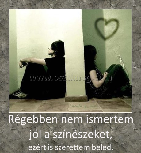 Régebben nem ismertem jól a színészeket,
 
ezért is szerettem beléd.