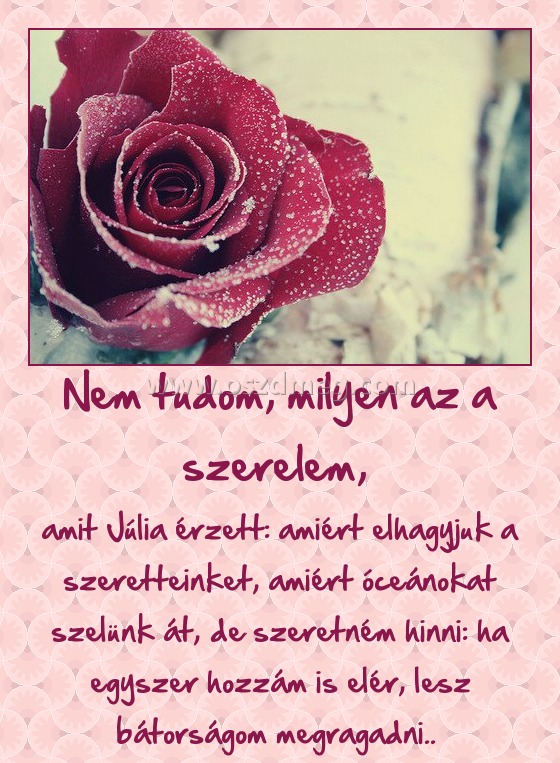 Nem tudom, milyen az a szerelem, 
 
amit Júlia érzett: amiért elhagyjuk a szeretteinket, amiért óceánokat szelünk át, de szeretném hinni: ha egyszer hozzám is elér, lesz bátorságom megragadni.. 