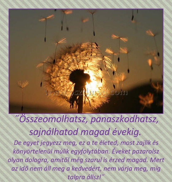 ˝Összeomolhatsz, panaszkodhatsz, sajnálhatod magad évekig. ˝Összeomolhatsz, panaszkodhatsz, sajnálhatod magad évekig.
De egyet jegyezz meg, ez a te életed, most zajlik és könyörtelenül múlik egyfolytában. Éveket pazarolsz olyan dologra, amitől még szarul is érzed magad. Mert az idő nem áll meg a kedvedért, nem várja meg, míg talpra állsz!˝