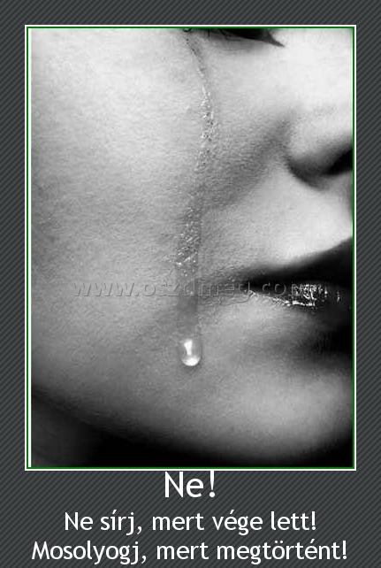 Ne! Ne!
Ne sírj, mert vége lett! Mosolyogj, mert megtörtént!