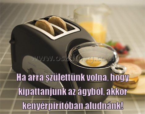 Ha arra születtünk volna
 
Ha arra születtünk volna, hogy kipattanjunk az ágyból, akkor kenyérpirítóban aludnánk!