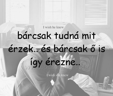 bárcsak tudná mit érzek..
 
bárcsak tudná mit érzek.. és bárcsak ő is így érezne.. 