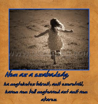 Nem az a szabadság,
 
ha megtehetsz bármit, amit szeretnél, hanem nem kell megtenned azt amit nem akarsz.