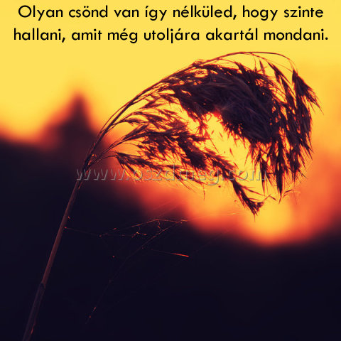 Olyan csönd van így
 
Olyan csönd van így nélküled, hogy szinte hallani, amit még utoljára akartál mondani.