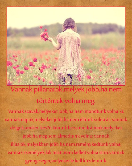 Vannak pillanatok,melyek jobb,ha nem történtek volna meg.
 
Vannak szavak,melyeket jobb,ha nem mondtunk volna ki; vannak napok,melyeket jobb,ha nem éltünk volna át; vannak dolgok,amiket  későn láttunk be;vannak álmok,melyeket jobb,ha meg sem álmodtunk volna; vannak illúziók,melyekben jobb,ha nem reménykedtünk volna; vannak személyek,kik miatt nem kellett volna sírni;vannak gyengeséget,melyeket le kell küzdenünk.