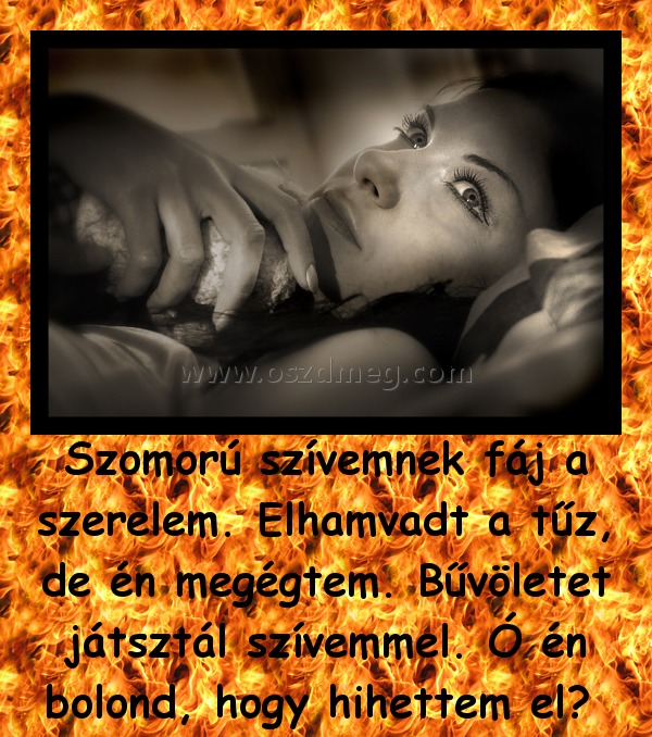 Szomorú szívemnek fáj a szerelem. Elhamvadt a tűz, de én megégtem. Bűvöletet játsztál szívemmel. Ó én bolond, hogy hihettem el? 
 
