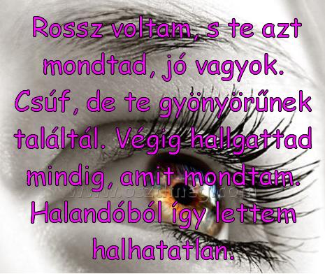 Rossz voltam Rossz voltam
Rossz voltam, s te azt mondtad, jó vagyok. Csúf, de te gyönyörűnek találtál. Végig hallgattad mindig, amit mondtam. Halandóból így lettem halhatatlan.
