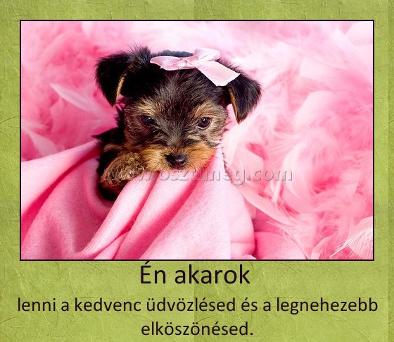 Én akarok Én akarok
lenni a kedvenc üdvözlésed és a legnehezebb elköszönésed.