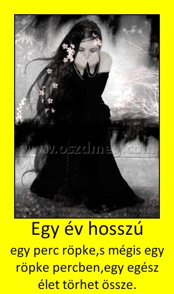 Egy év hosszú
 
egy perc röpke,s mégis egy röpke percben,egy egész élet törhet össze.