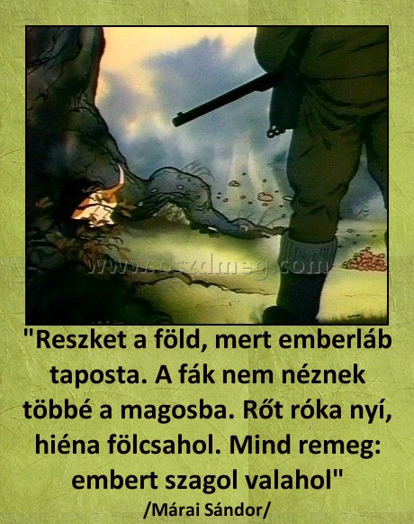 "Reszket a föld, mert emberláb taposta. A fák nem néznek többé a magosba. Rőt róka nyí, hiéna fölcsahol. Mind remeg: embert szagol valahol"
 
/Márai Sándor/