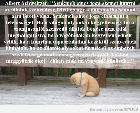 Albert Schweitzer: "Senkinek sincs
 
Albert Schweitzer: 
