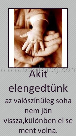 Akit elengedtünk
 
az valószínűleg soha nem jön vissza,különben el se ment volna.