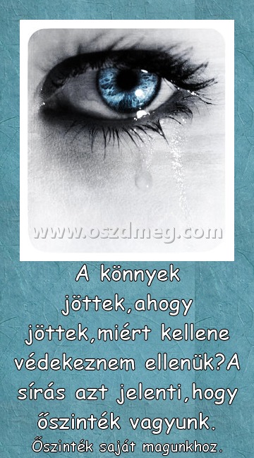 A könnyek jöttek A könnyek jöttek
Őszinték saját magunkhoz.
