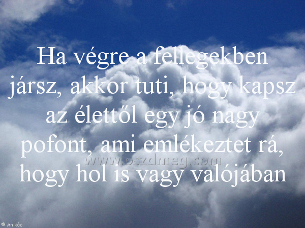 Ha végre a fellegekben
 
Ha végre a fellegekben jársz, akkor tuti, hogy kapsz az élettől egy jó nagy pofont, ami emlékeztet rá, hogy hol is vagy valójában