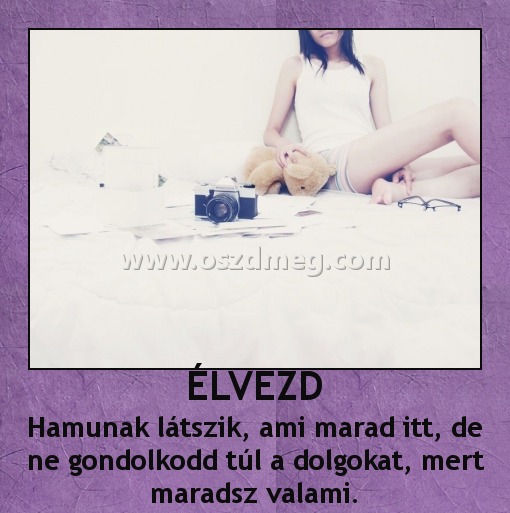 ÉLVEZD
 
Hamunak látszik, ami marad itt, de ne gondolkodd túl a dolgokat, mert maradsz valami.