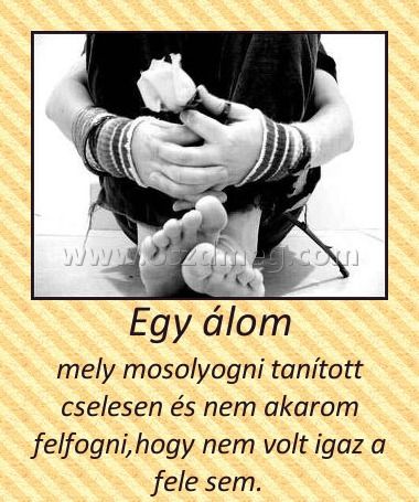 Egy álom
 
mely mosolyogni tanított cselesen és nem akarom felfogni,hogy nem volt igaz a fele sem. 