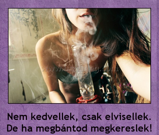 Nem kedvellek, csak elvisellek
 
Nem kedvellek, csak elvisellek. De ha megbántod megkereslek!