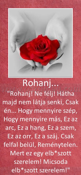 Rohanj...
 
