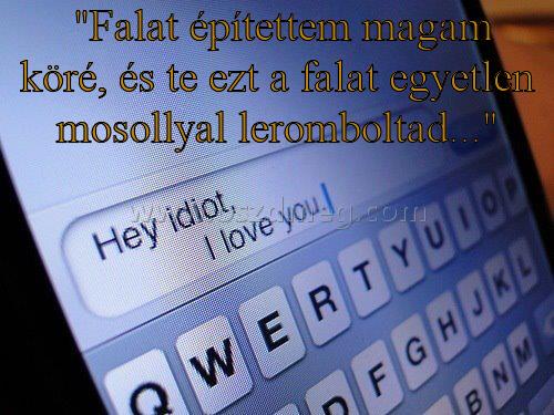 "Falat építettem magam
 
 