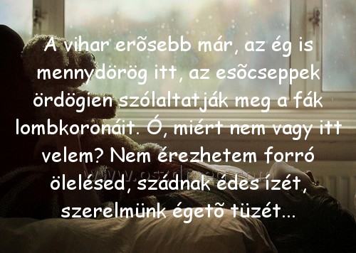 A vihar erõsebb már A vihar erõsebb már
A vihar erõsebb már, az ég is mennydörög itt, az esõcseppek ördögien szólaltatják meg a fák lombkoronáit. Ó, miért nem vagy itt velem? Nem érezhetem forró ölelésed, szádnak édes ízét, szerelmünk égetõ tüzét...
