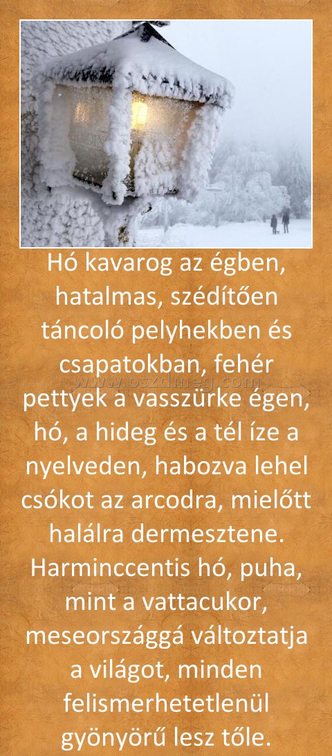 Hó kavarog az égben, hatalmas, szédítően táncoló pelyhekben és csapatokban, fehér pettyek a vasszürke égen, hó, a hideg és a tél íze a nyelveden, habozva lehel csókot az arcodra, mielőtt halálra dermesztene. Harminccentis hó, puha, mint a vattacukor, mese Hó kavarog az égben, hatalmas, szédítően táncoló pelyhekben és csapatokban, fehér pettyek a vasszürke égen, hó, a hideg és a tél íze a nyelveden, habozva lehel csókot az arcodra, mielőtt halálra dermesztene. Harminccentis hó, puha, mint a vattacukor, mese