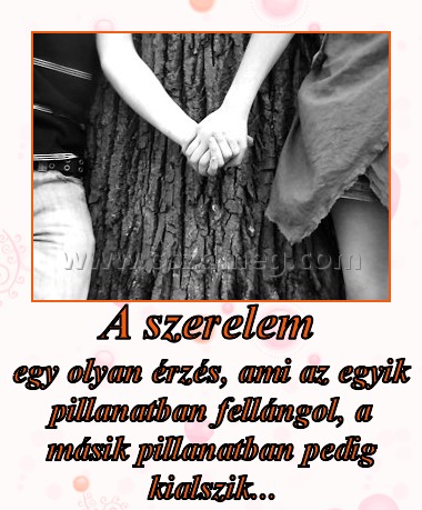 A szerelem 
 
egy olyan érzés, ami az egyik pillanatban fellángol, a másik pillanatban pedig kialszik...