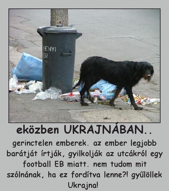 eközben UKRAJNÁBAN..
 
gerinctelen emberek. az ember legjobb barátját írtják, gyilkolják az utcákról egy football EB miatt. nem tudom mit szólnának, ha ez fordítva lenne?! gyűlöllek Ukrajna! 