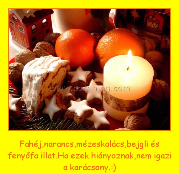 Fahéj, narancs, mézeskalács
 
Fahéj,narancs,mézeskalács,bejgli és fenyőfa illat.Ha ezek hiányoznak,nem igazi a karácsony.:)