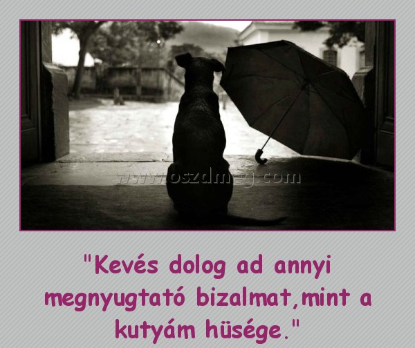 Megnyugtató bizalom Megnyugtató bizalom