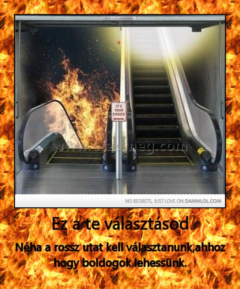 Ez a te választásod
 
Néha a rossz utat kell választanunk,ahhoz hogy boldogok lehessünk.