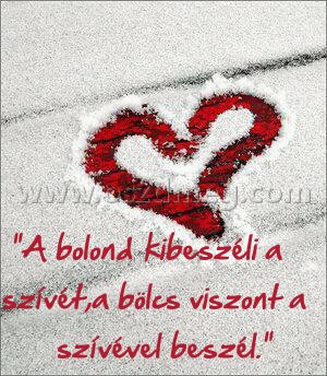 "A bolond kibeszéli a "A bolond kibeszéli a